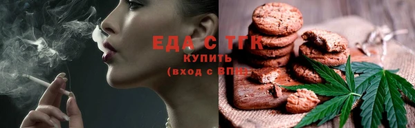 индика Верея