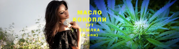 индика Верея
