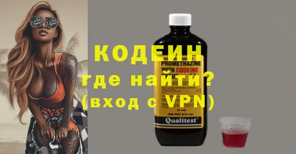 индика Верея