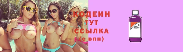 индика Верея