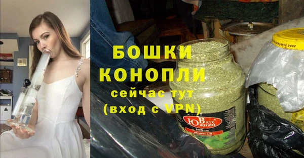 индика Верея