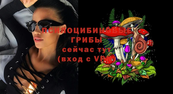 крисы Бугульма