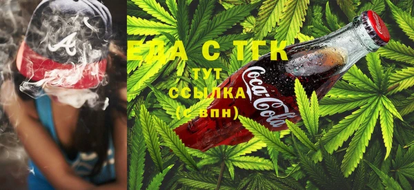 индика Верея