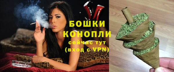 индика Верея