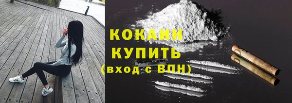 индика Верея