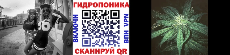 Марихуана SATIVA & INDICA  наркотики  Вольск 